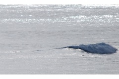 1_DSC_0061