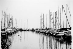 1_DSC_0063