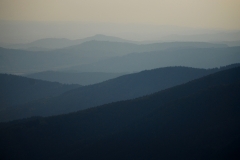 1_DSC_0087