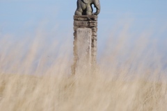 Sneznik