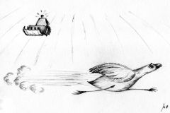 ilustrace-HRDP-2