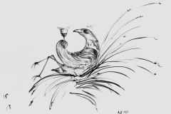 ilustrace-HRDP1