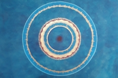 67614486_2344305928987818_8330679087429320704_n